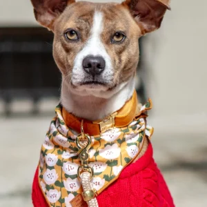 Goldenflowers Dog Bandana (Made in the USA) )(FINAL SALE)