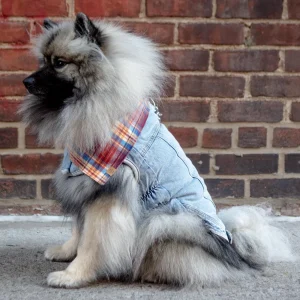 Denim Shearling Dog Jacket in Light Wash