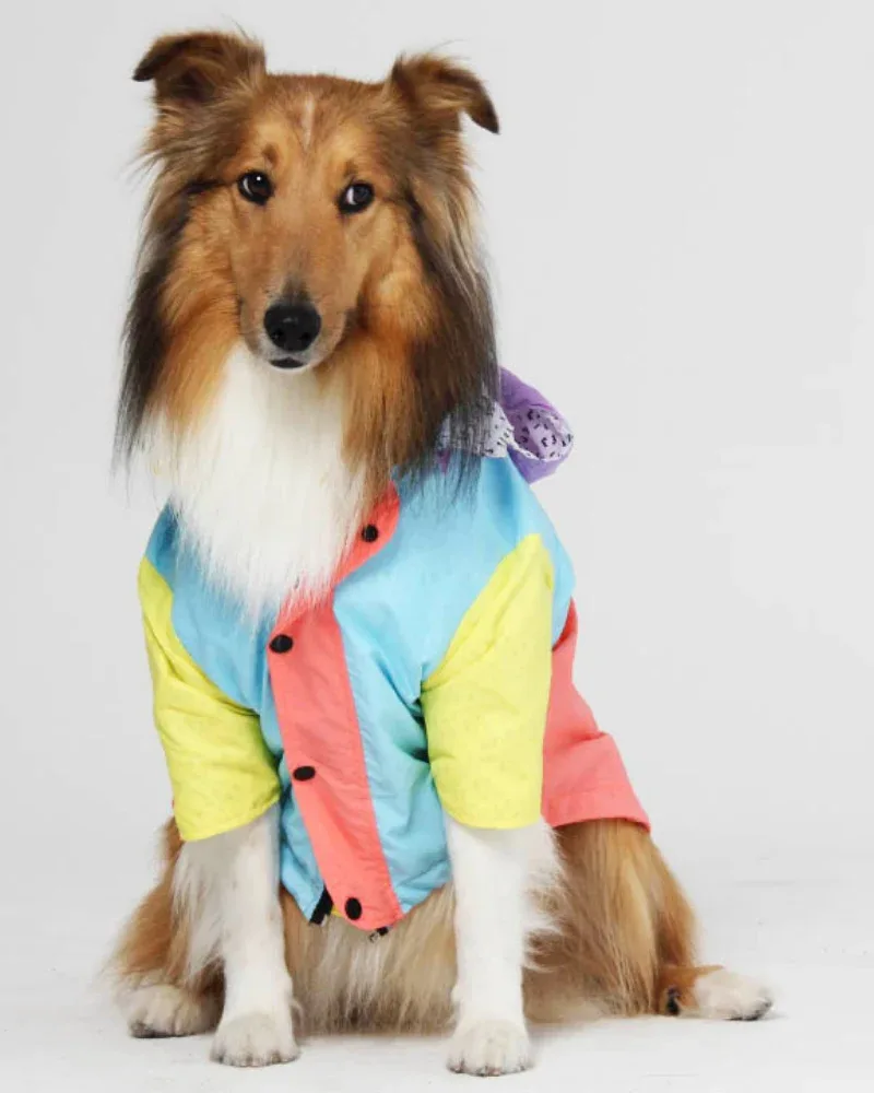 Pastel Water Resistant Dog Raincoat (FINAL SALE) - Image 2