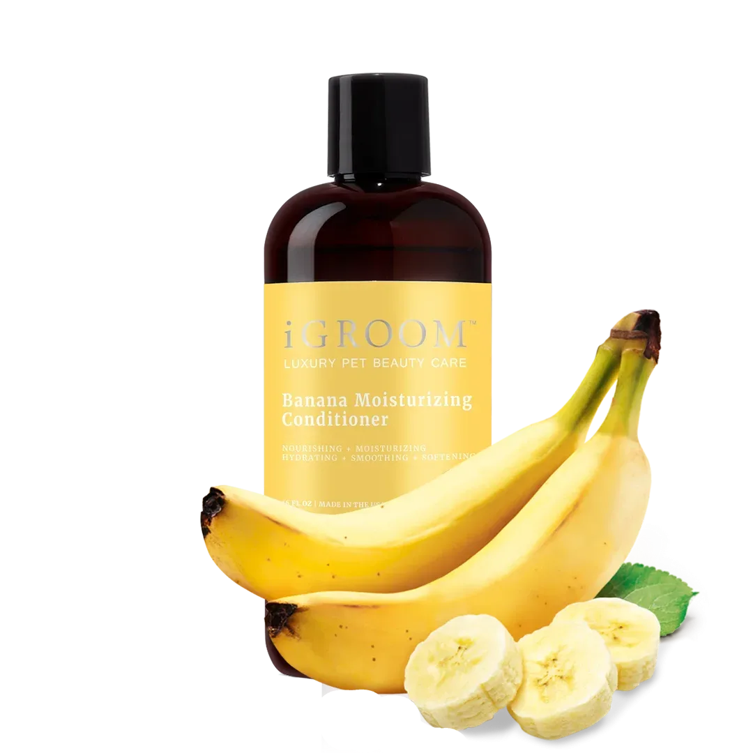 Banana Moisturizing Conditioner 16oz by iGroom - Image 2