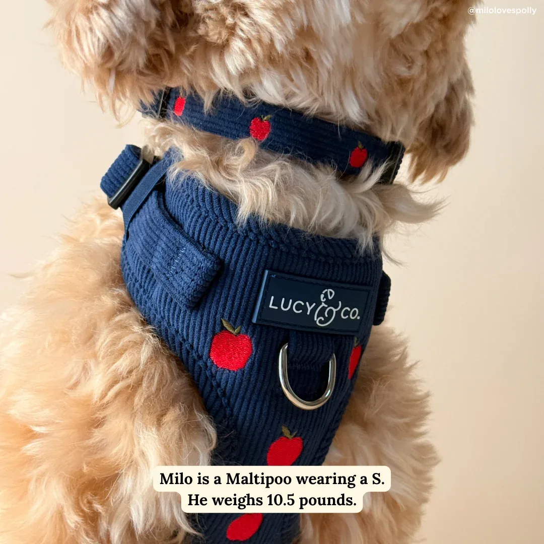 Appley Ever After Corduroy Collar - Image 2