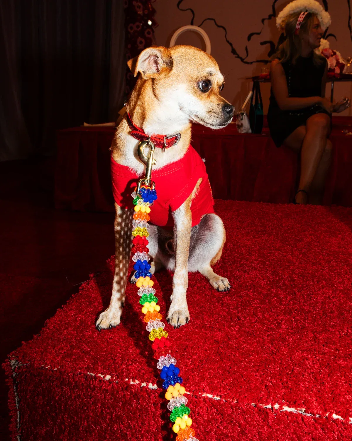 Beaded Dog Leash in Playdate (Made in the USA)