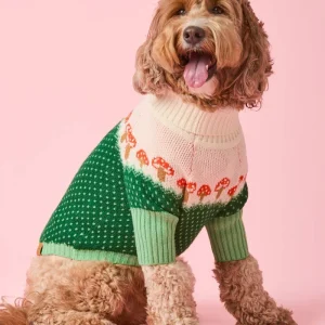 Mushroom Toadstool Knit Dog Sweater