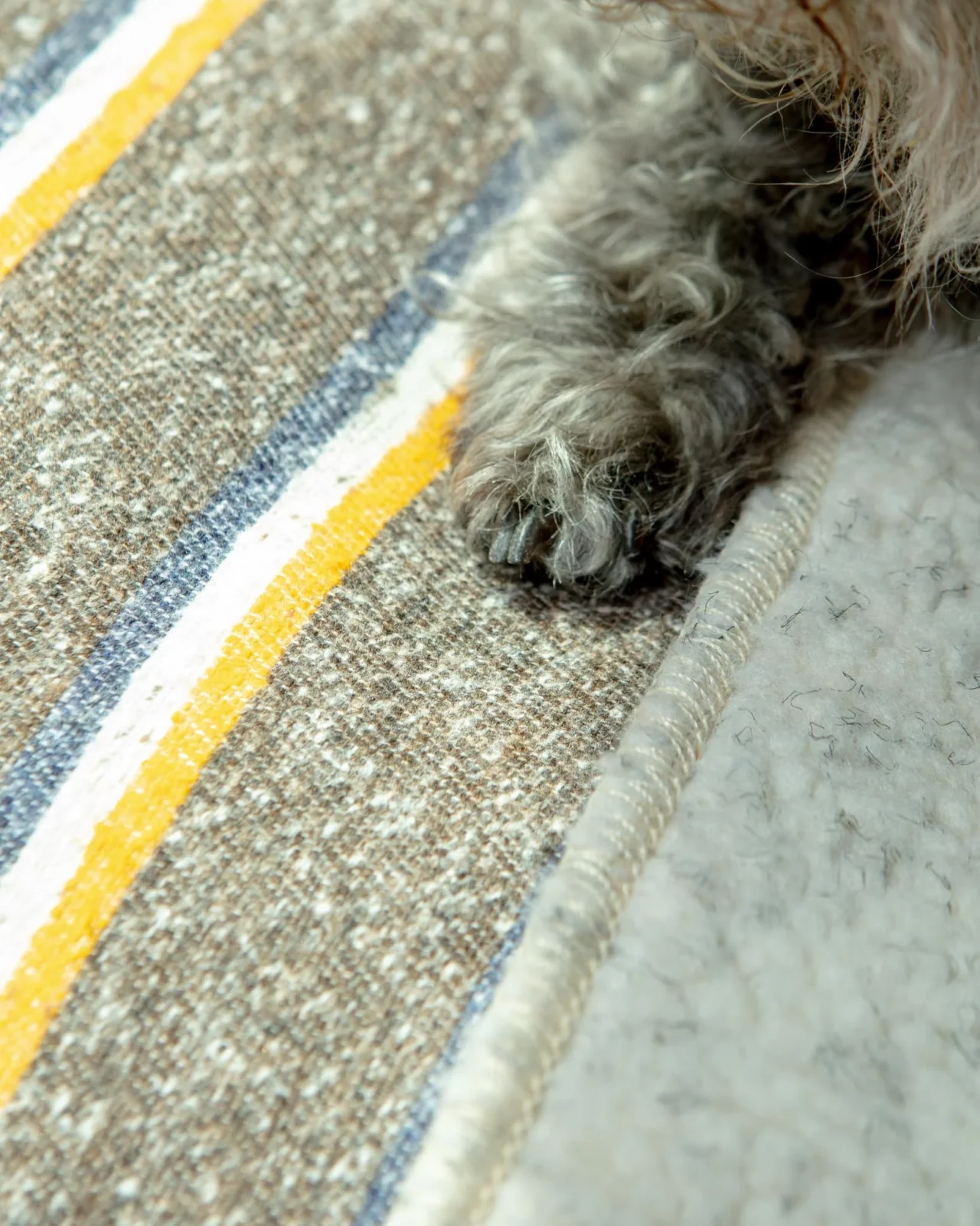 Campus Stripe Dog Blanket (Made in the USA) - Image 2