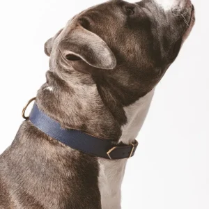 Moni Dog Collar in Navy Leather (Made in Italy) (FINAL SALE)