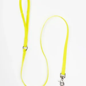 A Walk in the Park Dog Leash in Neon Yellow (Made in the USA)