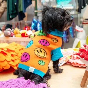 How Are You Feeling? Dog Sweater