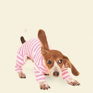 Hug Me Ribbed Dog Onesie (FINAL SALE)