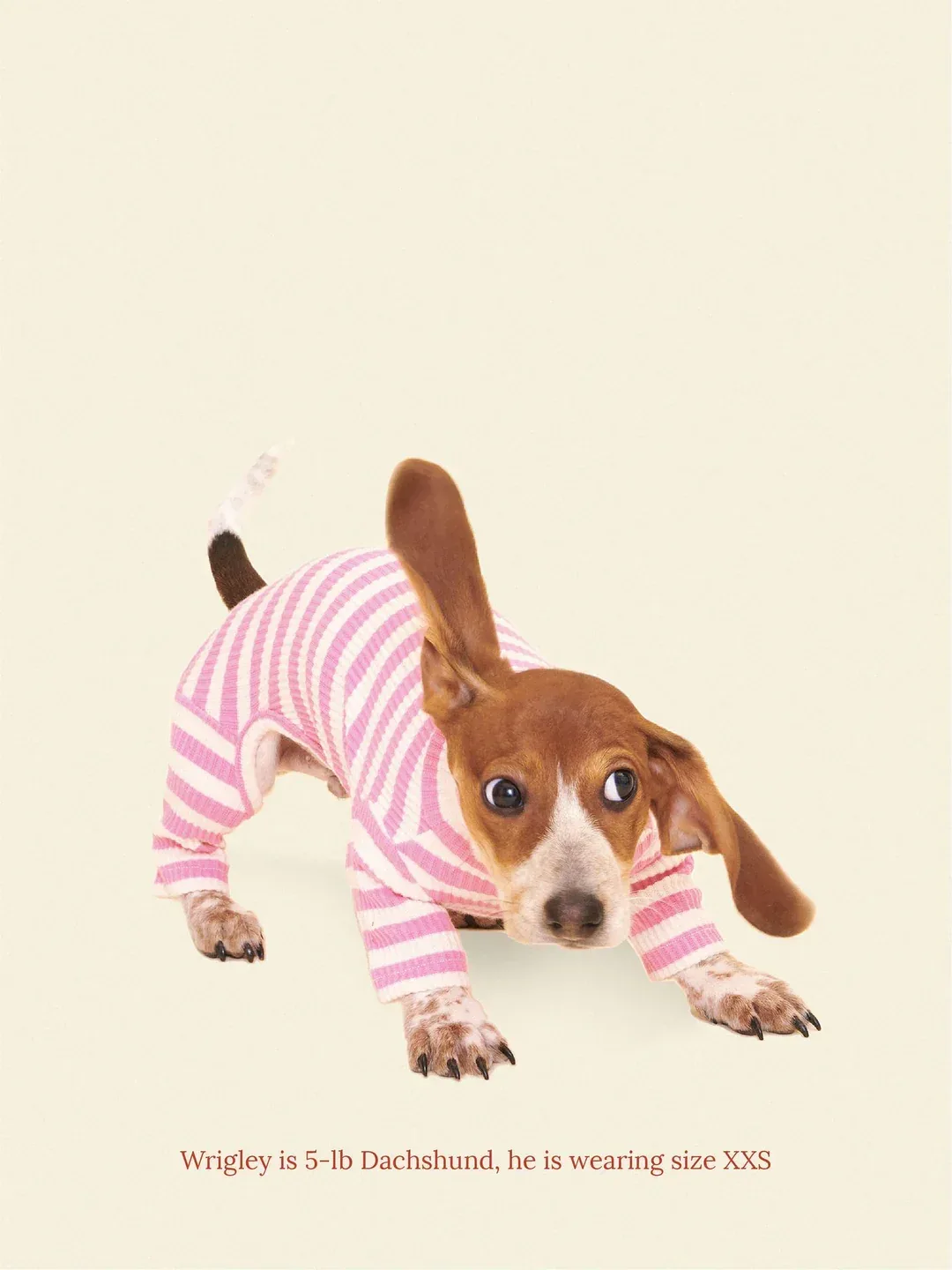 Hug Me Ribbed Dog Onesie (FINAL SALE)