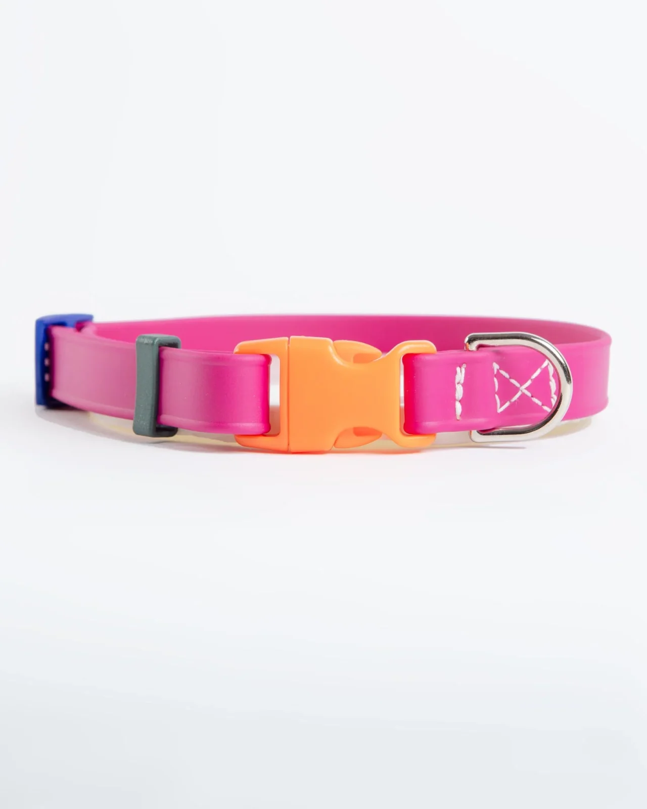 A Walk in the Park Dog Collar in Magenta Pink (Made in the USA) - Image 2
