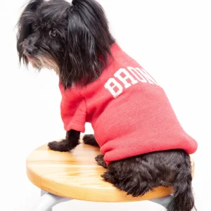 Bronx Dog Sweatshirt in Red