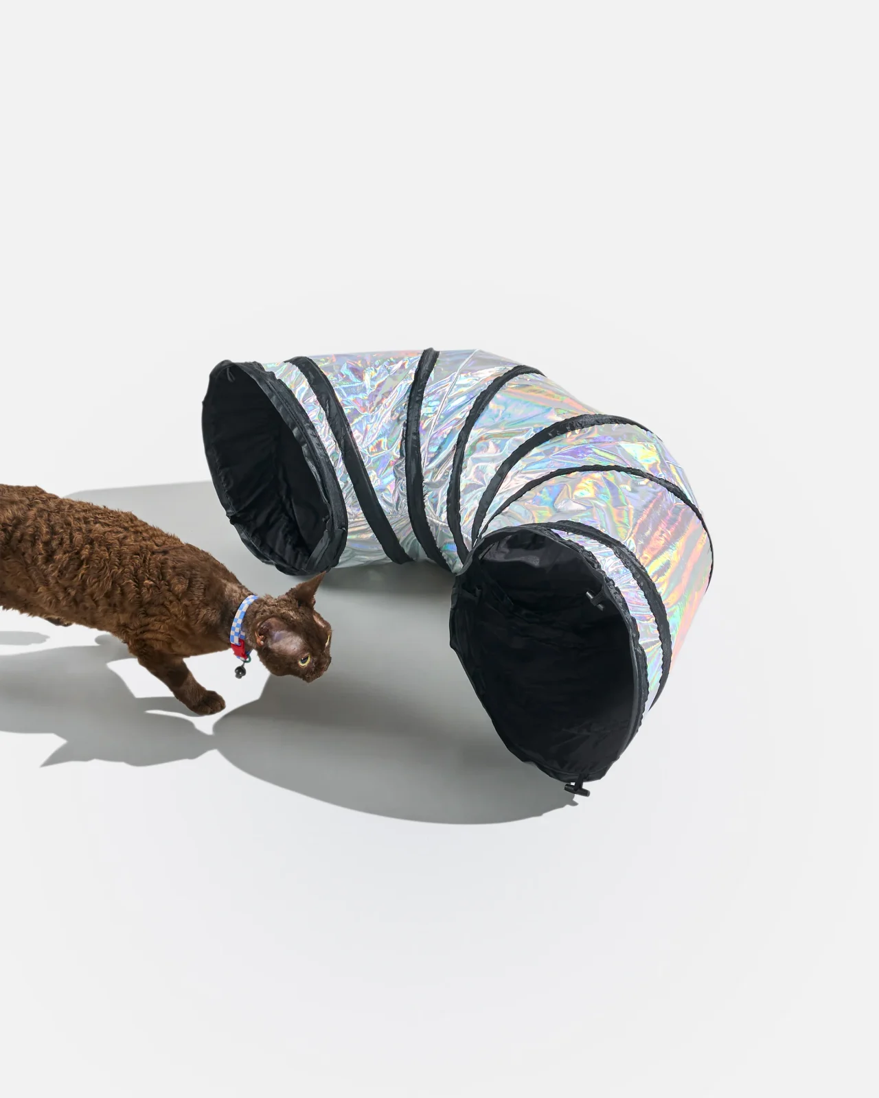 Cat Tunnel - Image 2