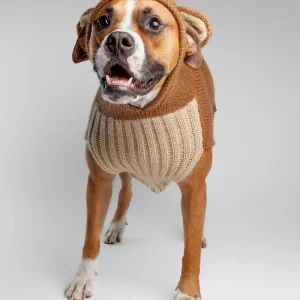 Teddy Bear Handknit Dog Sweater