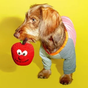 Cotton Crochet Apple Dog Toy