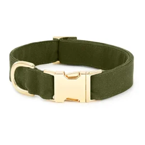 Olive Dog Collar