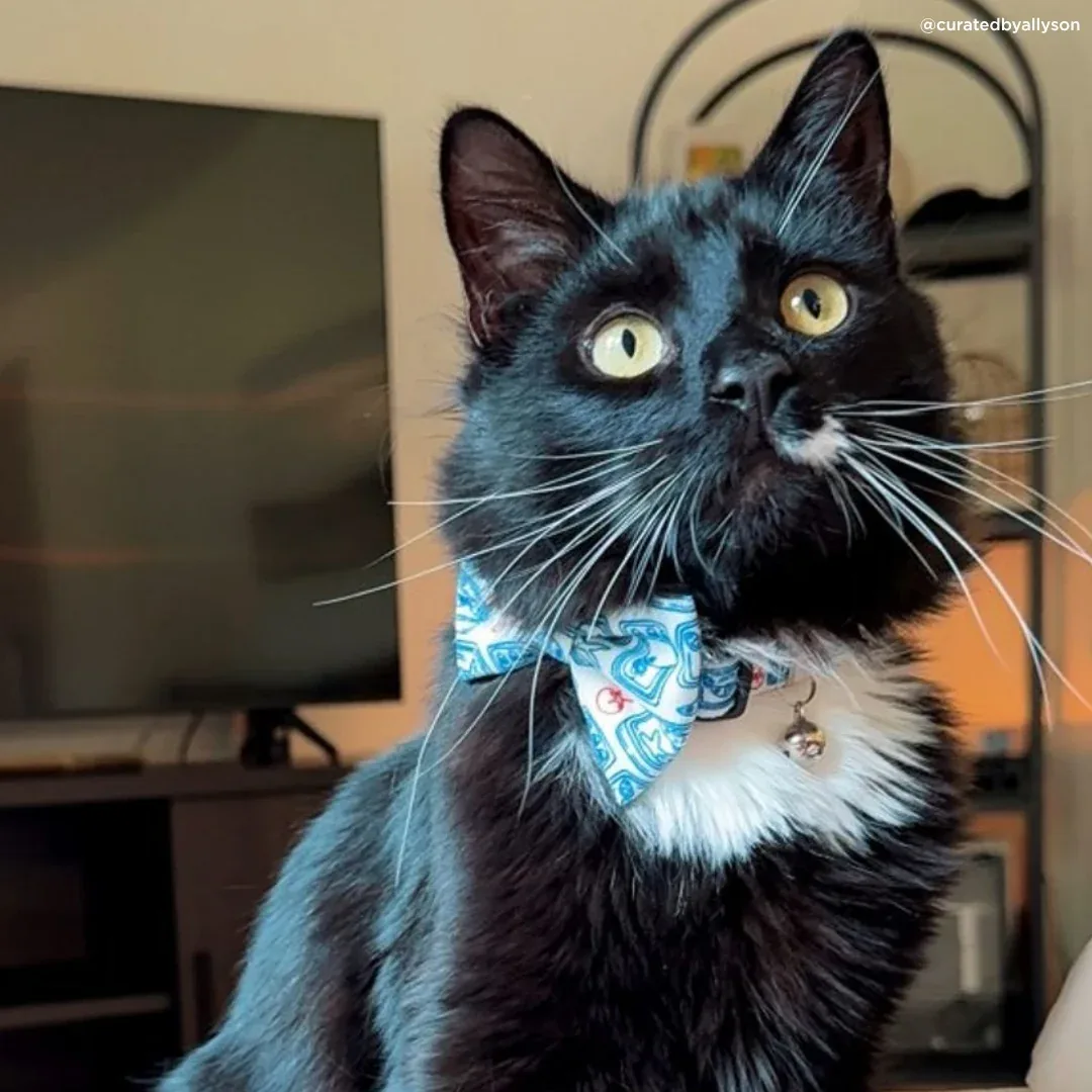 Tinned Fish Cat (& Small Dog) Bow Tie - Image 2
