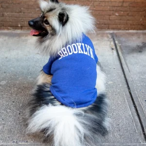 Brooklyn Dog Sweatshirt in Royal Blue Heather