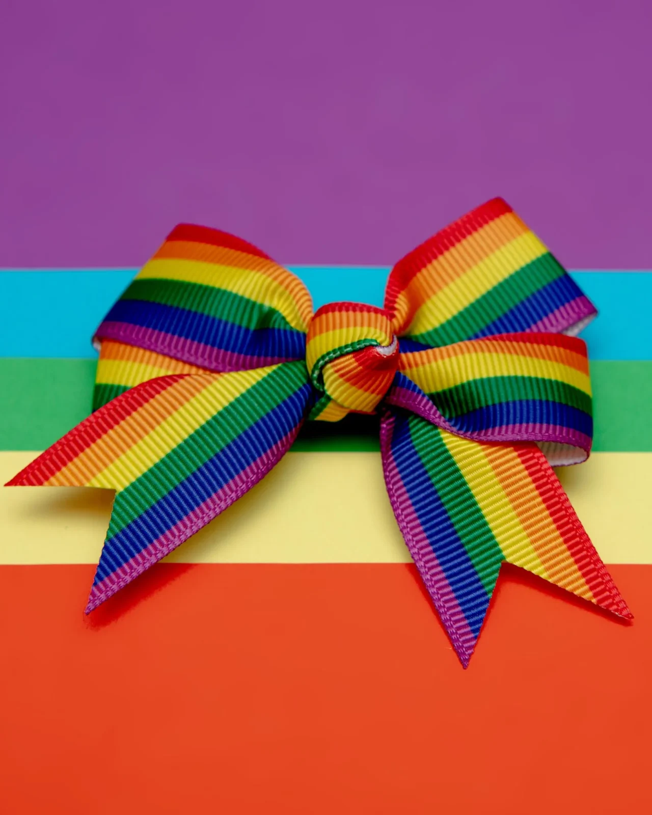 Rainbow Pet Hair Clip (Single) (FINAL SALE) - Image 2