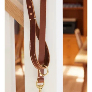 Rambler Standard Dog Leash in Terra