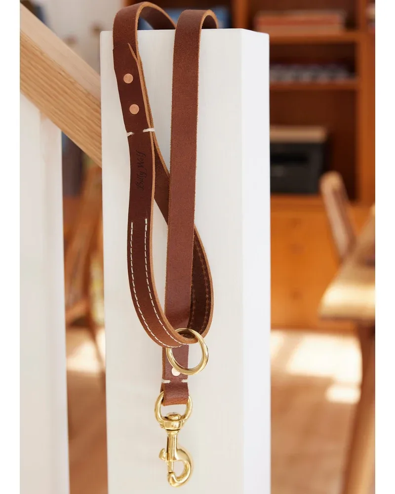 Rambler Standard Dog Leash in Terra