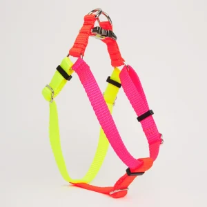 Nylon Colorblock Dog Harness in Neon Pink/Orange/Yellow (Made in the USA)