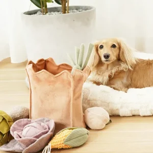 Farmer's Market Bag Crinkle Dog Toy (Empty Bag Only)