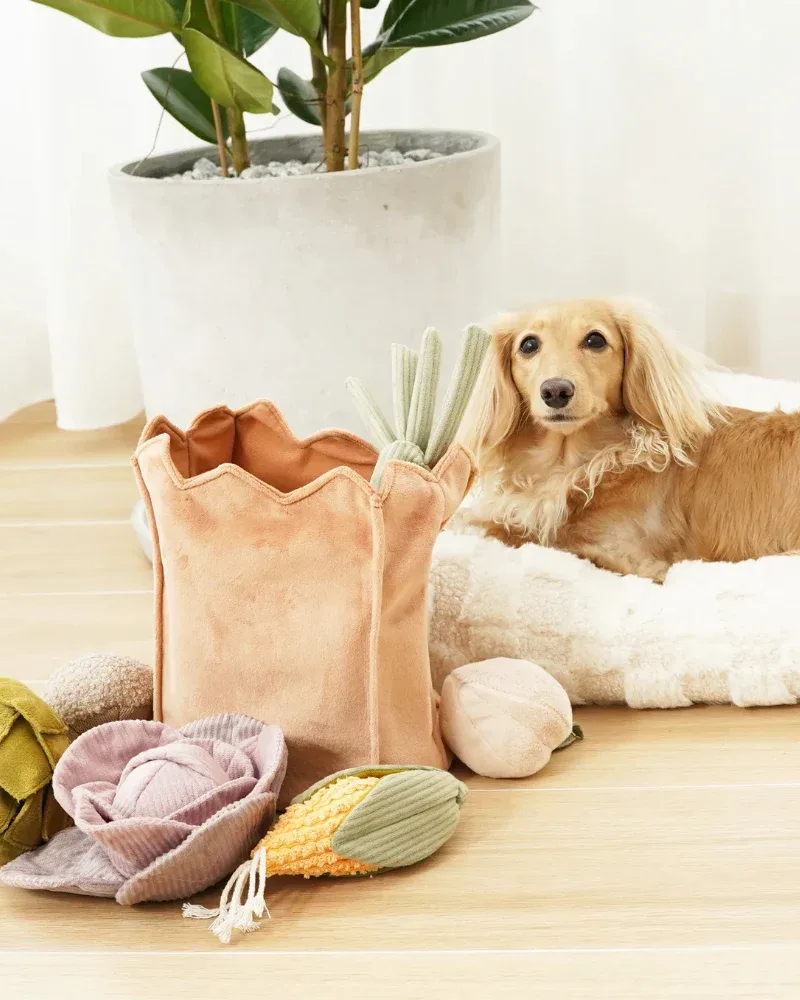 Farmer's Market Bag Crinkle Dog Toy (Empty Bag Only)