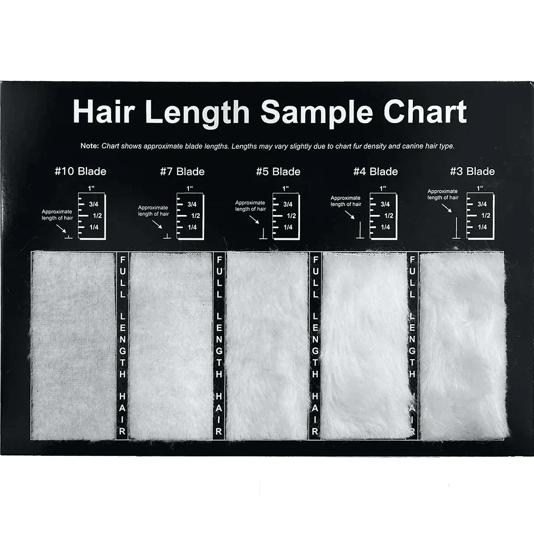 Hair Length Sample Chart by PetStore.Direct