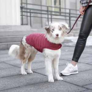 Reversible Puffer Dog Jacket in Burgundy