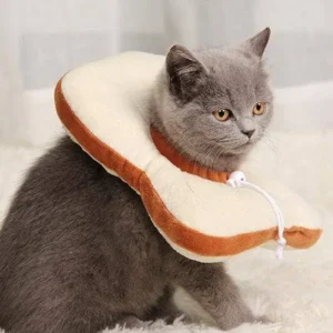 Small Dog or Cat Bread Cone
