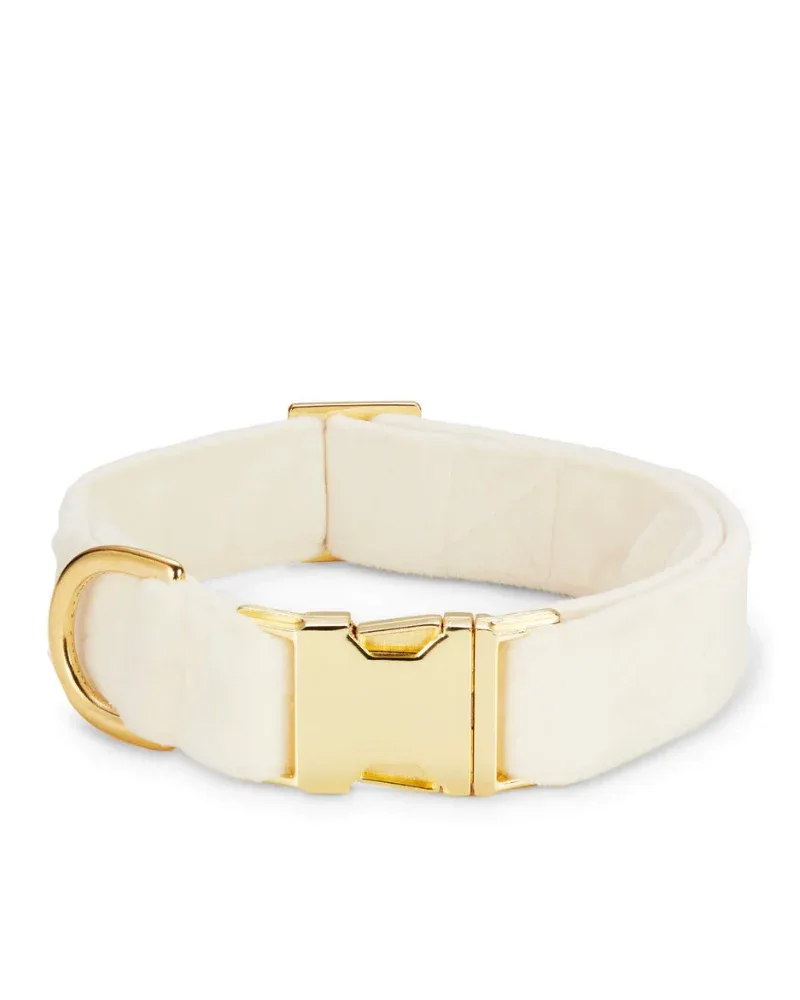 Ivory Velvet Dog Collar (Made in the USA) (FINAL SALE) - Image 2