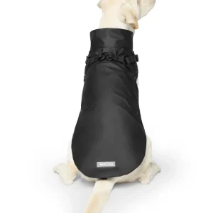 2-In-1 Dog Harness Raincoat in Black