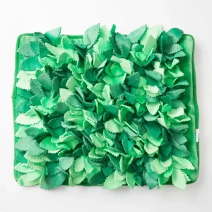 Foraging Leaves Dog Snuffle Mat
