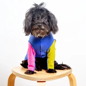 Long-Sleeve Stretch Fleece in Crazy for the 80s (Made in the USA) (DOG & CO. + GOLD PAW Exclusive!)