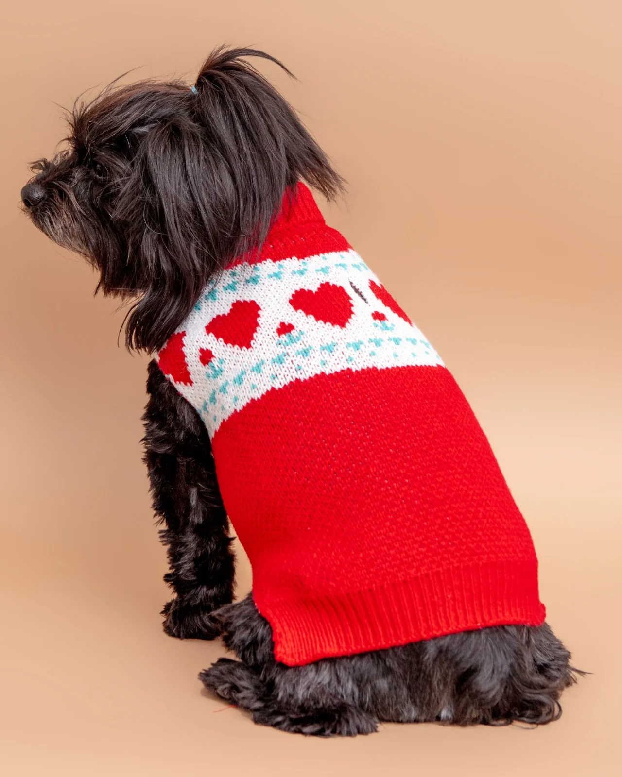 Whole Lotta Love Heart Dog Sweater((FINAL SALE))