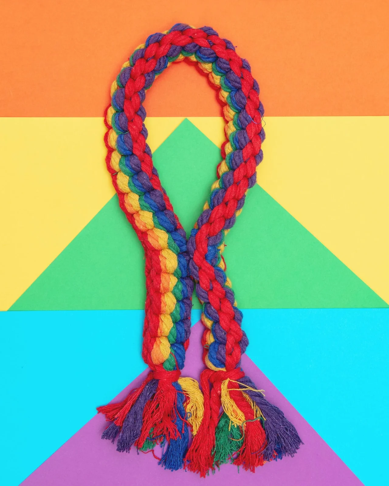 Rainbow Rope Dog Toy