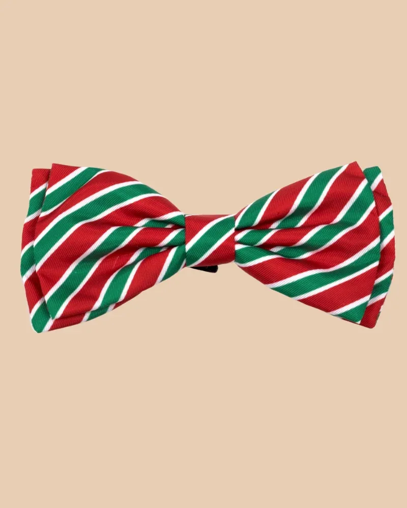 Dignified Dog Bow Tie in Holiday Stripe <>