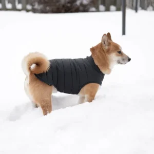 Reversible Puffer Dog Jacket in Black (FINAL SALE)
