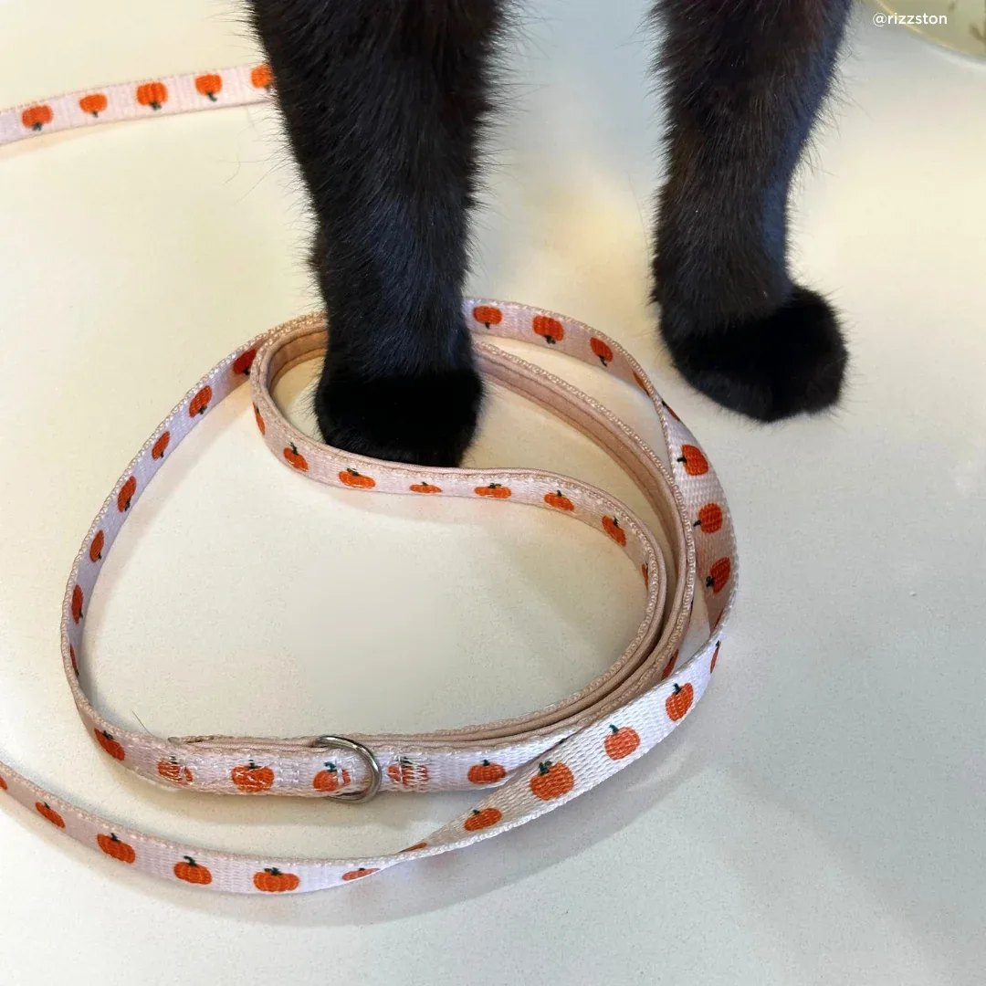 Oh My Gourd Cat Leash - Image 2