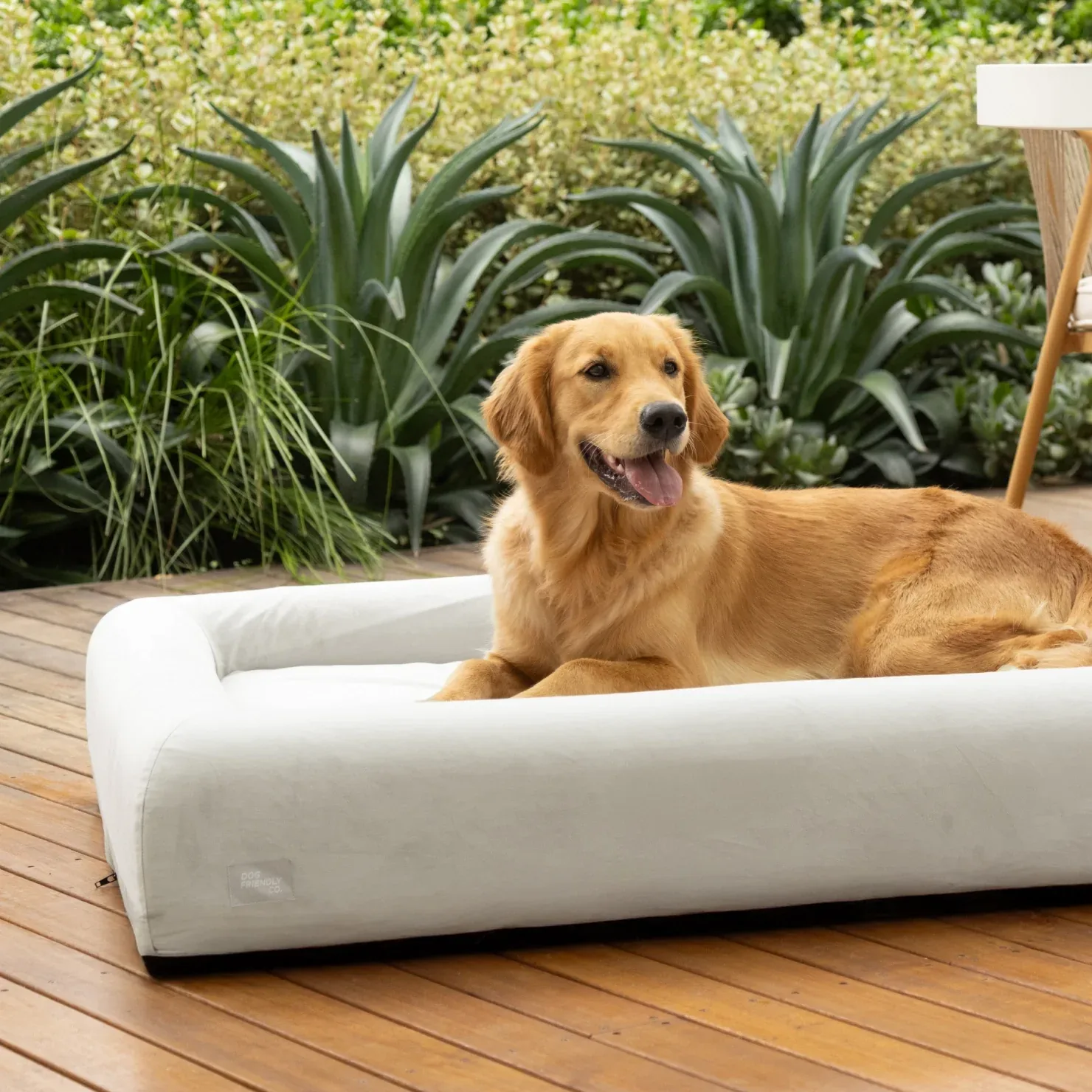 Premium Orthopedic Memory Foam Dog Bed - Grey - Image 2