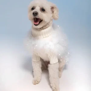Angel Glitz Dog Jumper in Snow White (FINAL SALE)