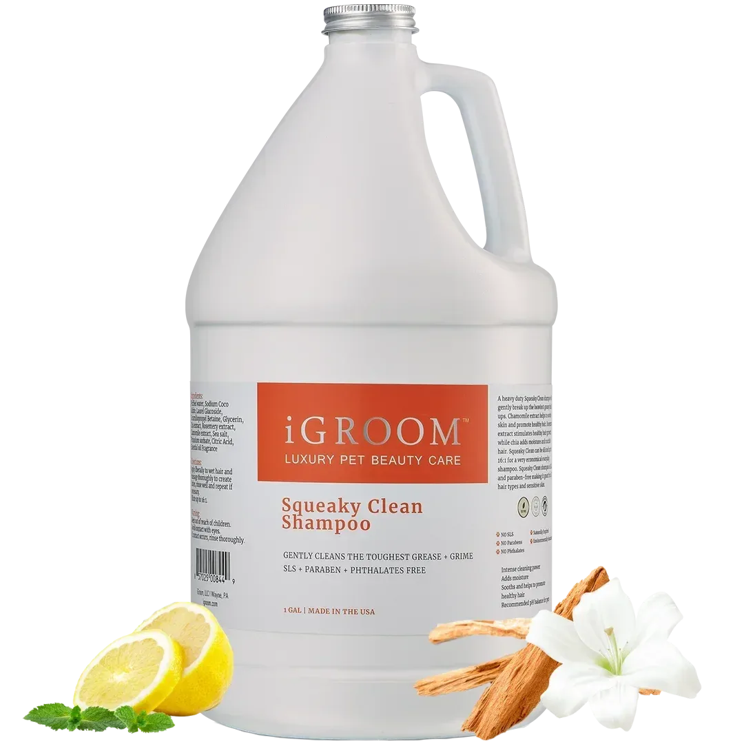 Squeaky Clean Shampoo Gallon by iGroom - Image 2