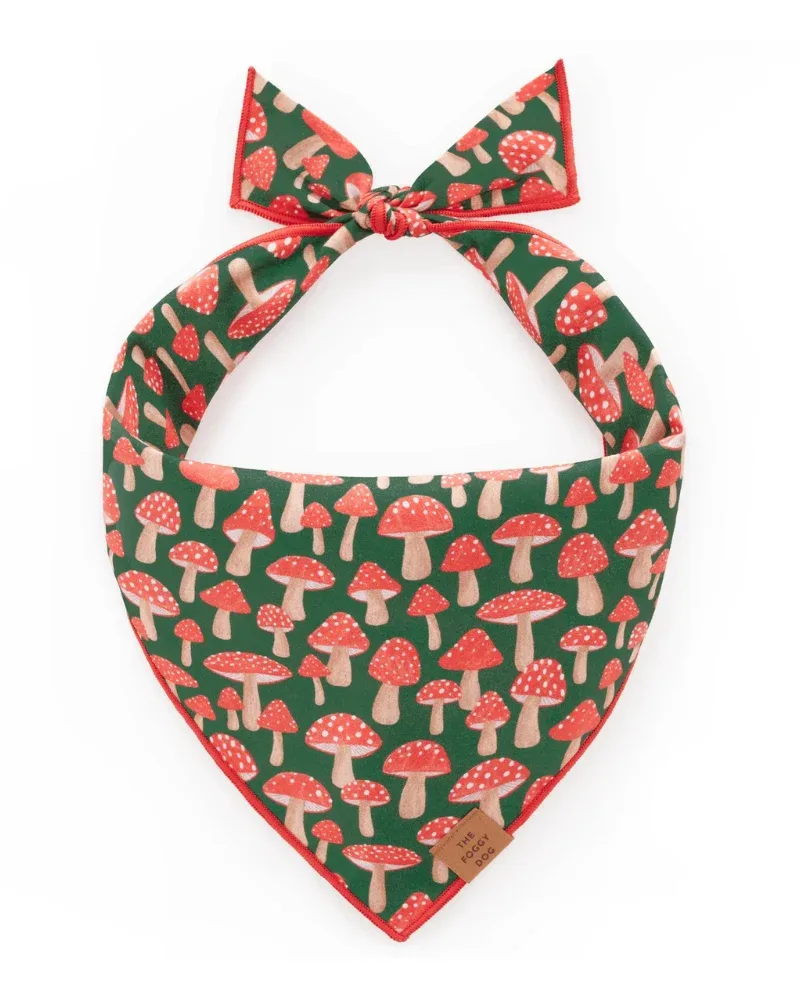 Mushroom Meadow Cotton Dog Bandana (Made in the USA) (FINAL SALE) - Image 2