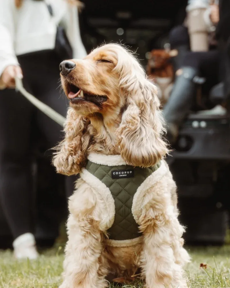 Quilted Adjustable Dog Harness in Khaki - Image 2