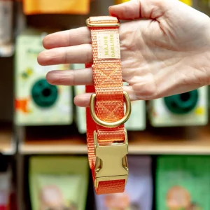 Side-Release Buckle Dog Collar in Peach (Made in the USA)