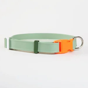 A Walk in the Park Dog Collar in Sage Green (Made in the USA)