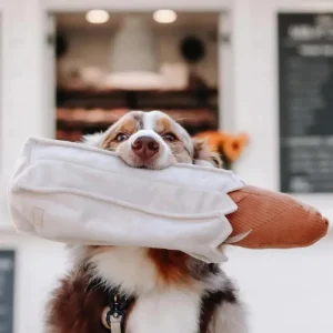 Baguette Nosework Squeaky Dog Toy