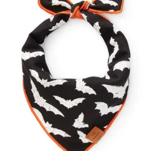 Going Batty Reversible Dog Bandana (Made in the USA)
