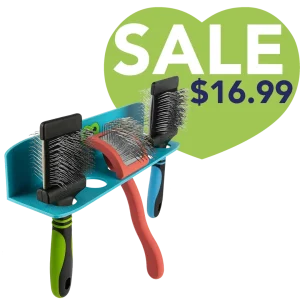 Hanging Brush Holder Cyan by PetStore.Direct