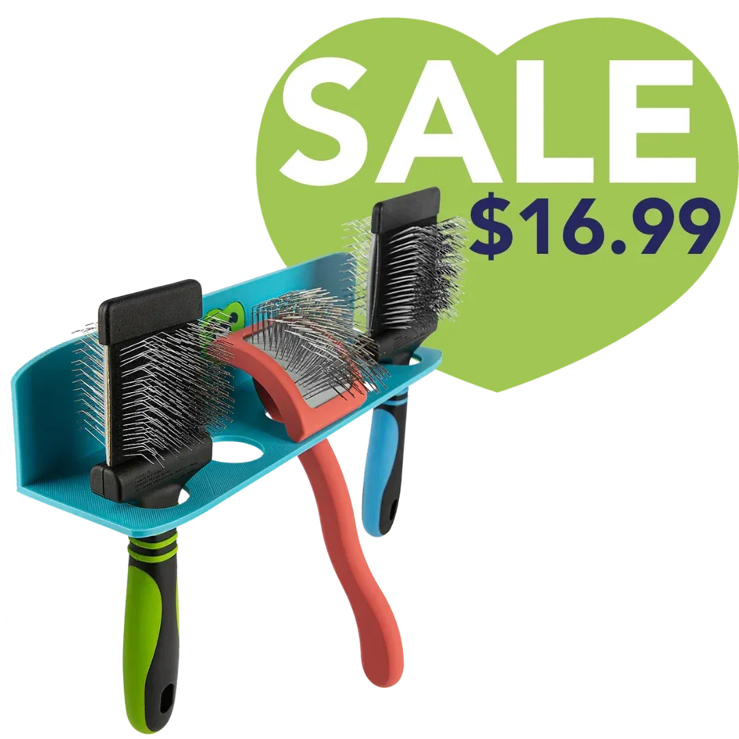 Hanging Brush Holder Cyan by PetStore.Direct